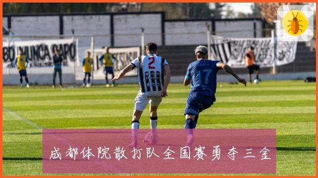 成都体院散打队全国赛勇夺三金