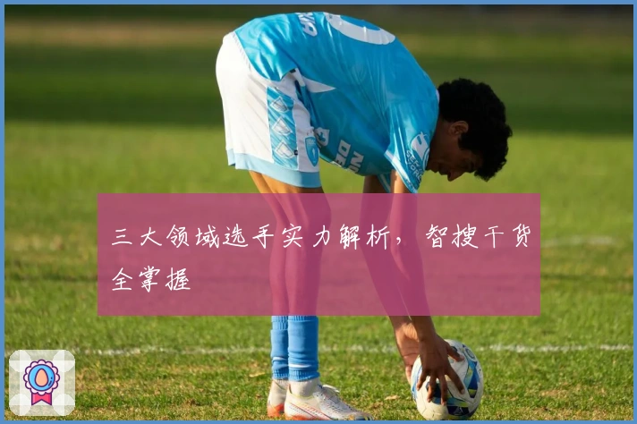 三大领域选手实力解析，智搜干货全掌握