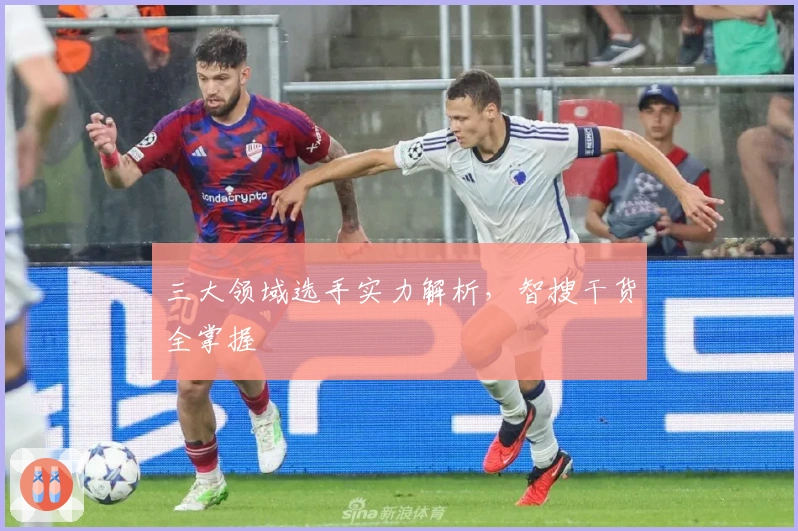 三大领域选手实力解析，智搜干货全掌握