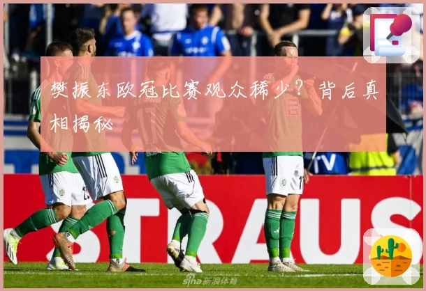 樊振东欧冠比赛观众稀少？背后真相揭秘